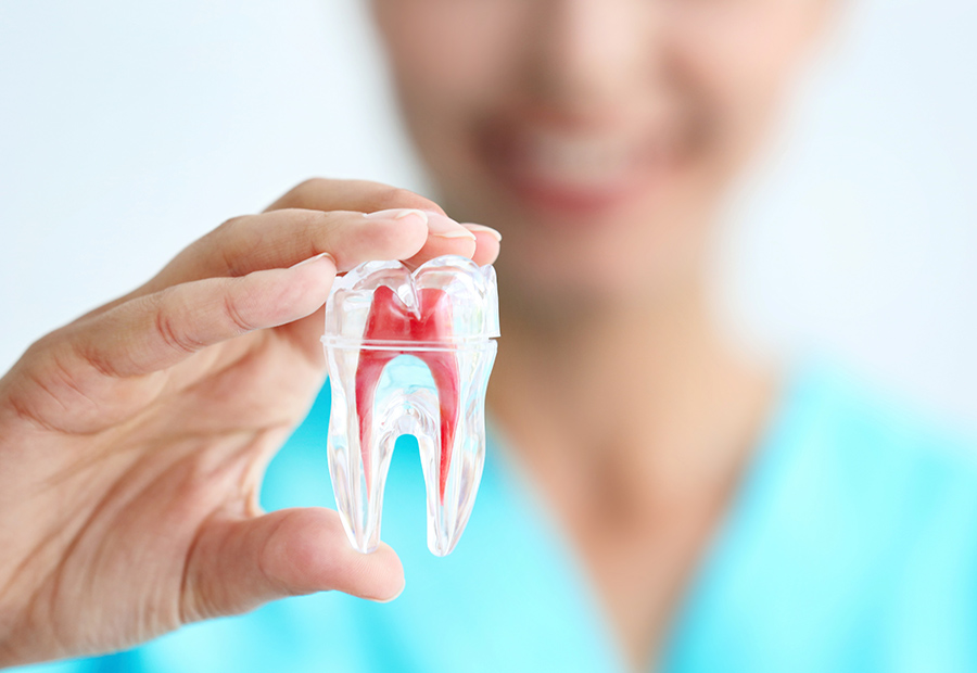 Dental Implants 6 Dental Implants in Park Ridge IL